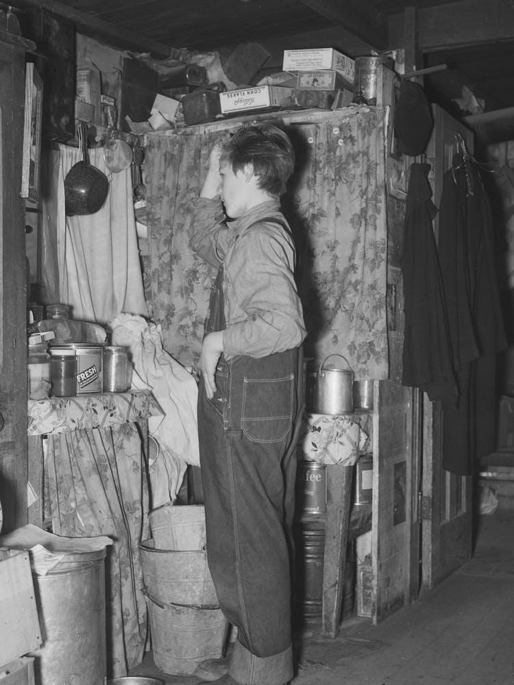 Adopted Son Of Ole Thompson, Nesson Township, Williams County, North Dakota By Russell Lee