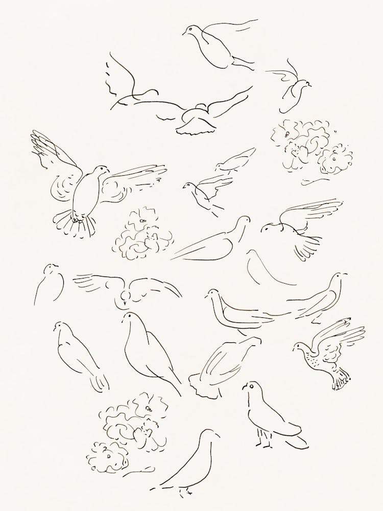 Doves