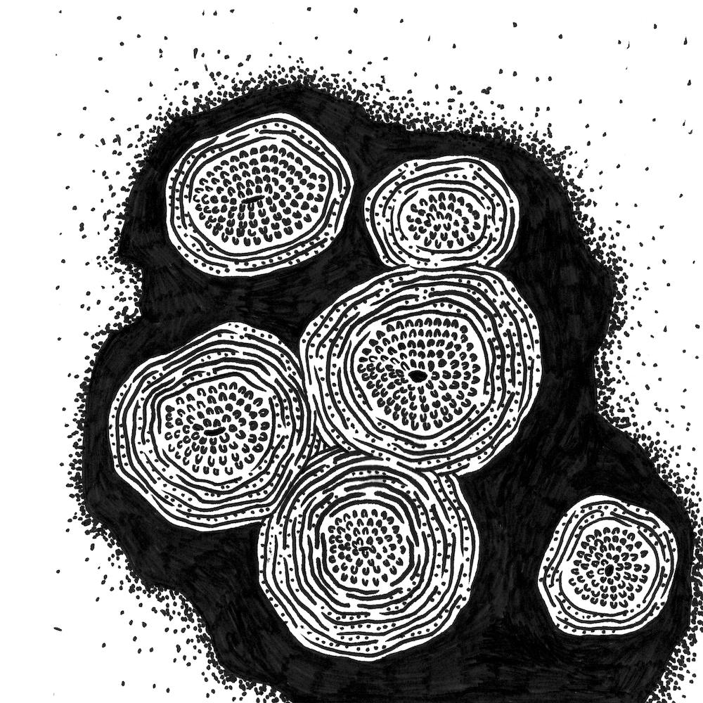 Microlandscapes 1 Square