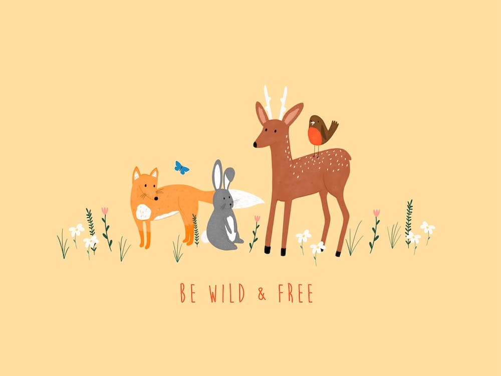 Wild And Free