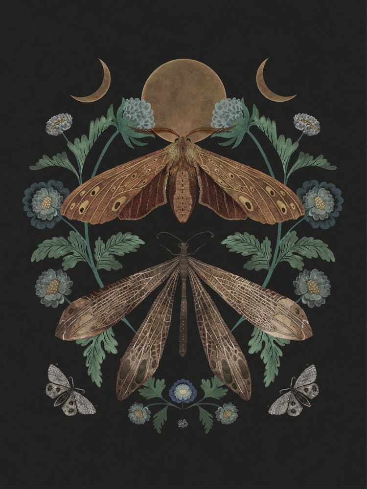 Moon And Moths symmetrical insect art