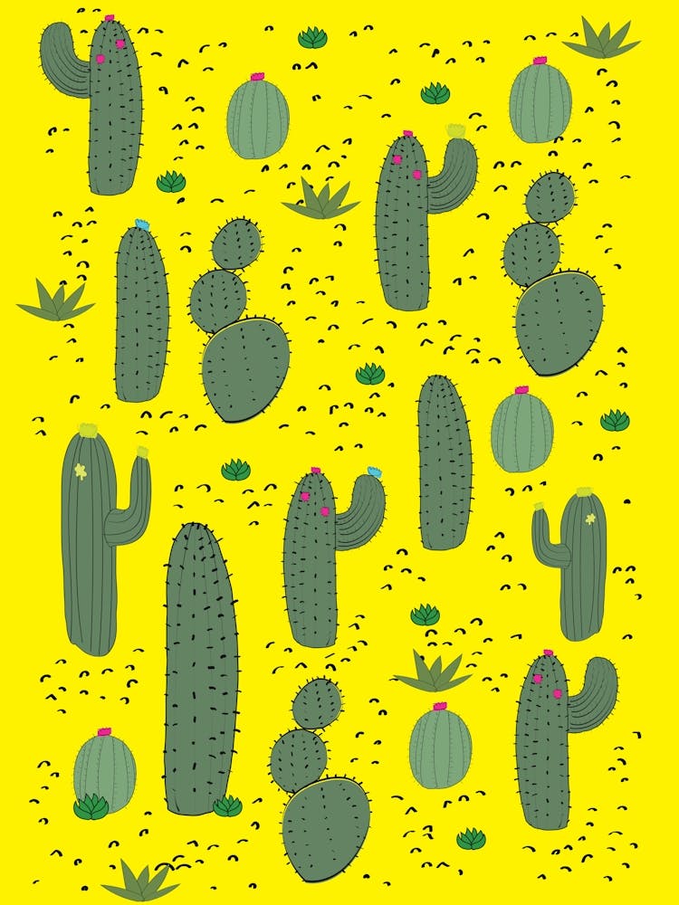 Cactus Pattern