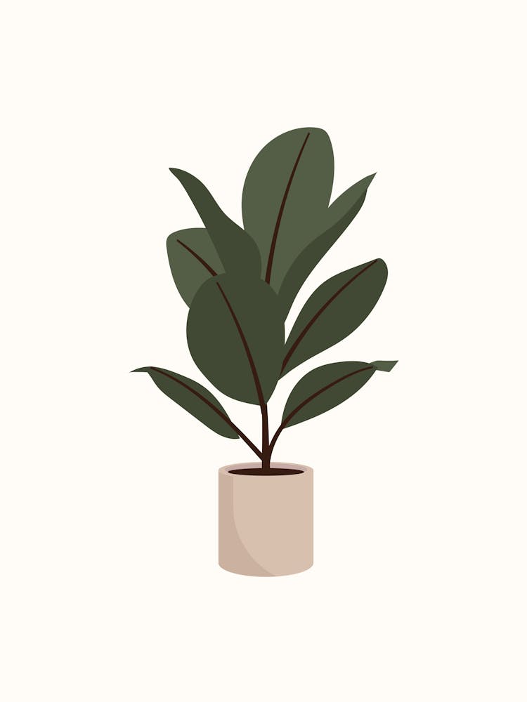 Potted Plant 3