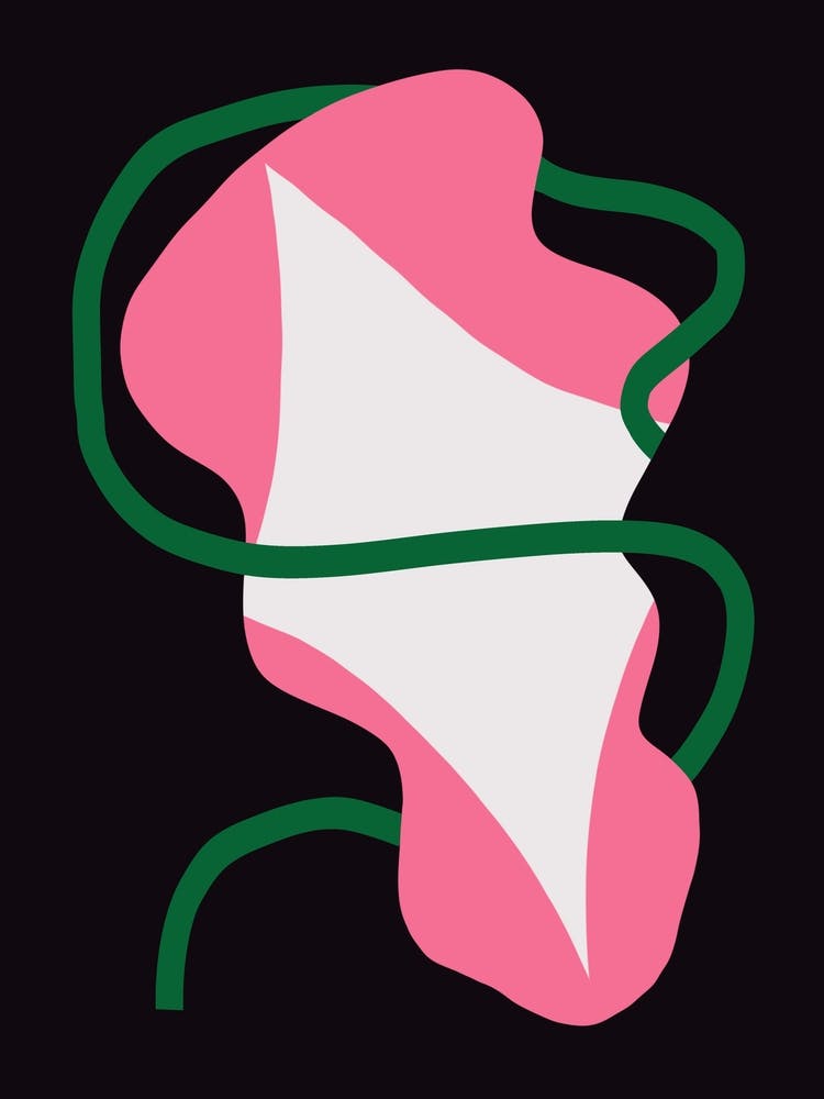 Pink And Green morning glory