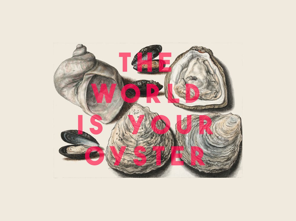 The World Is Your Oyster