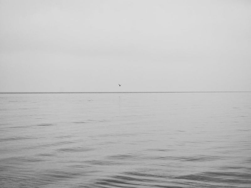 Silver Beach