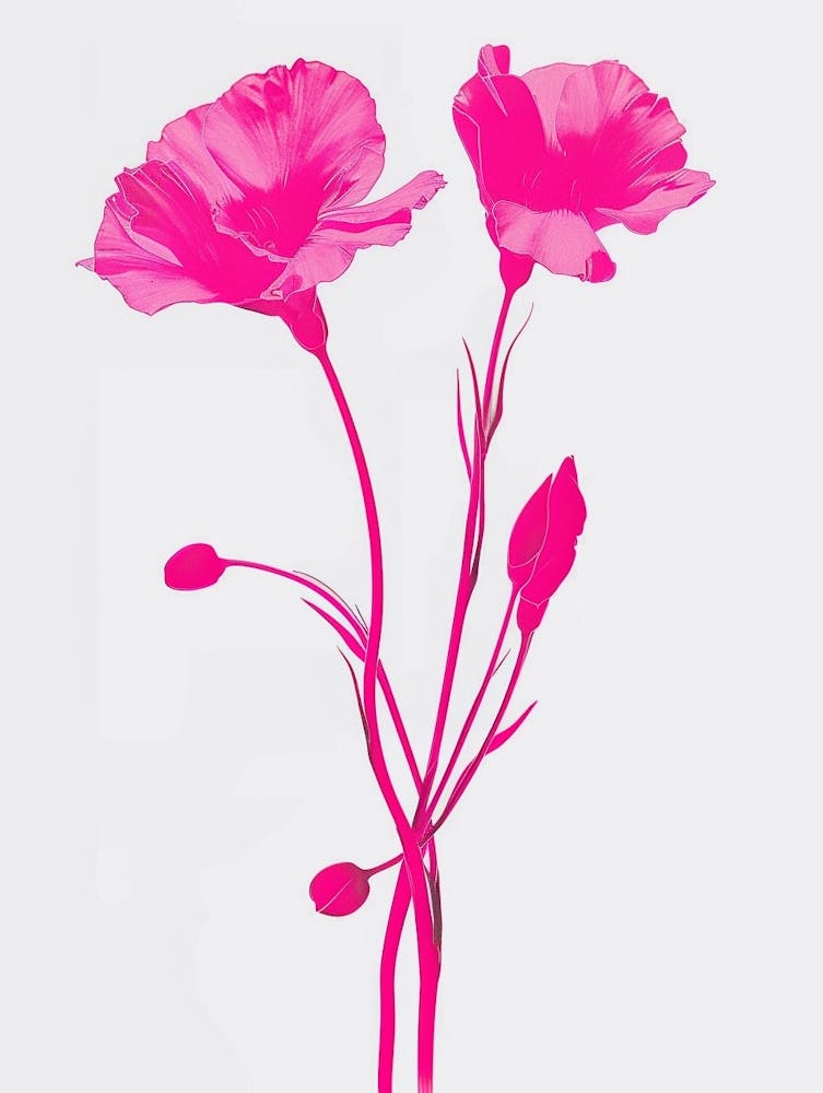 Leuchtend pinke Lisianthus 1