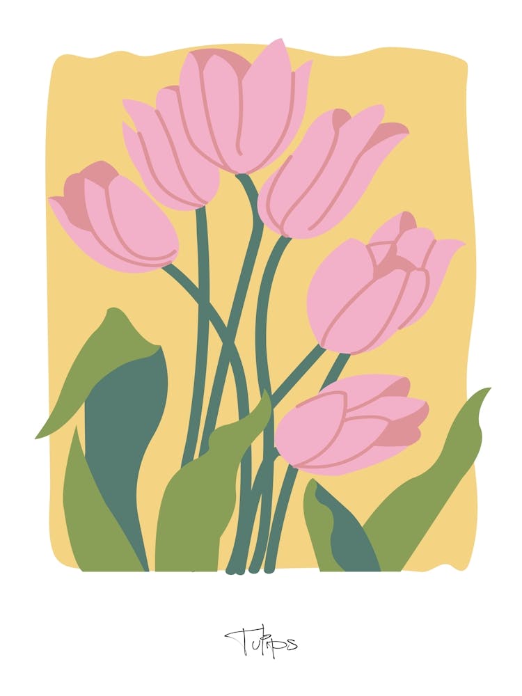 Tulips Floral