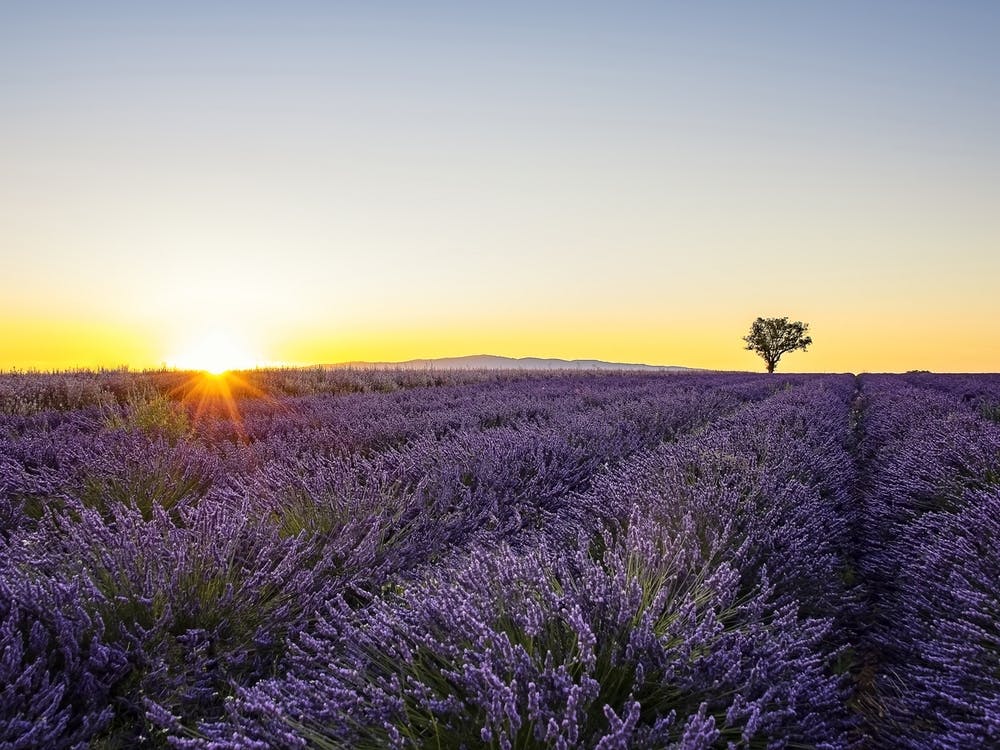 Coucher de Soleil en Provence