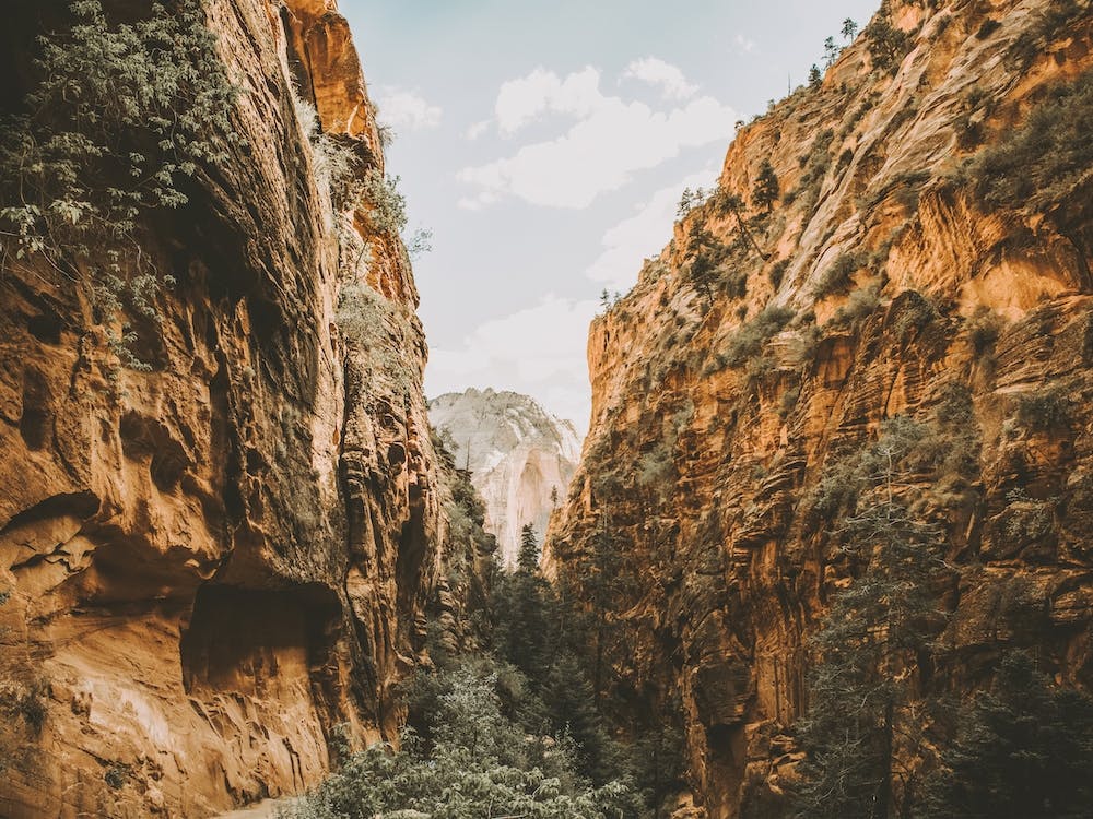Zion Desert Canyon