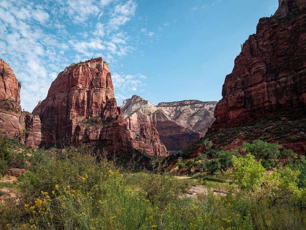 Navajo Sandstone Zion