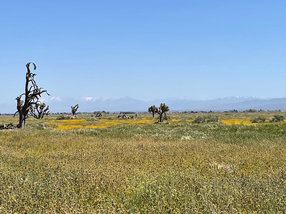 Lancaster - Westside