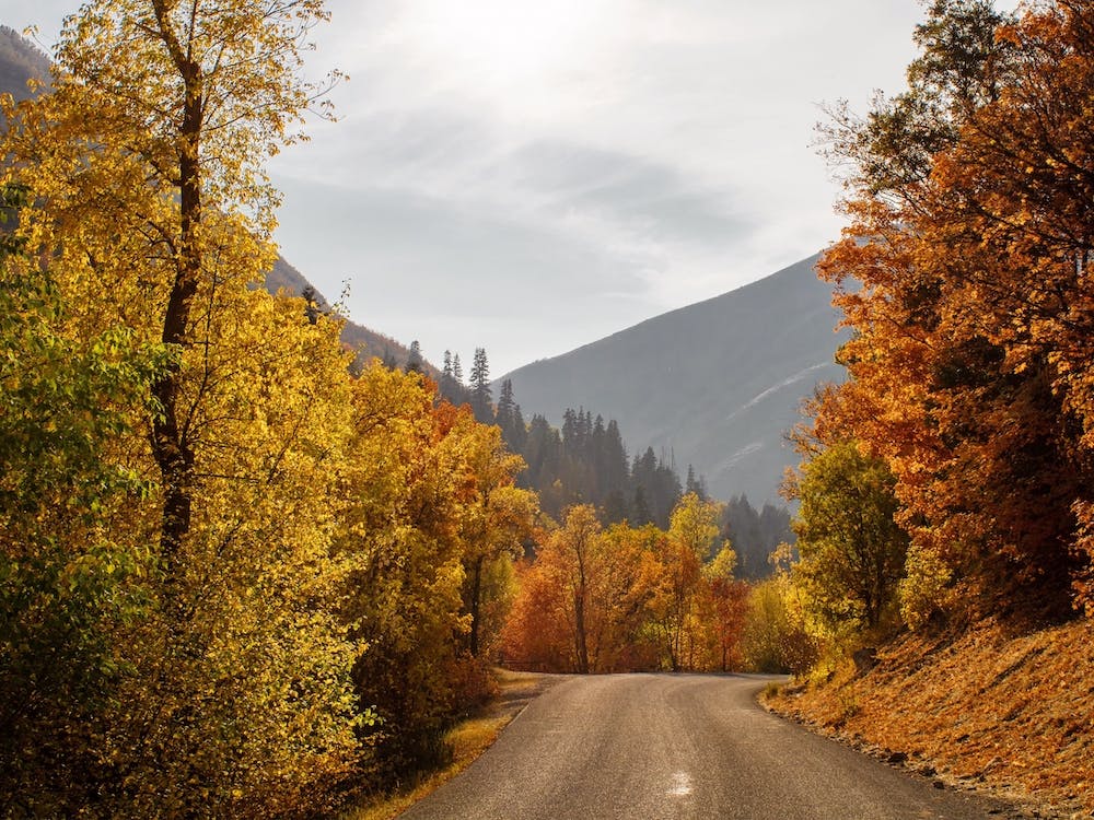 Colorado Dirt Road
