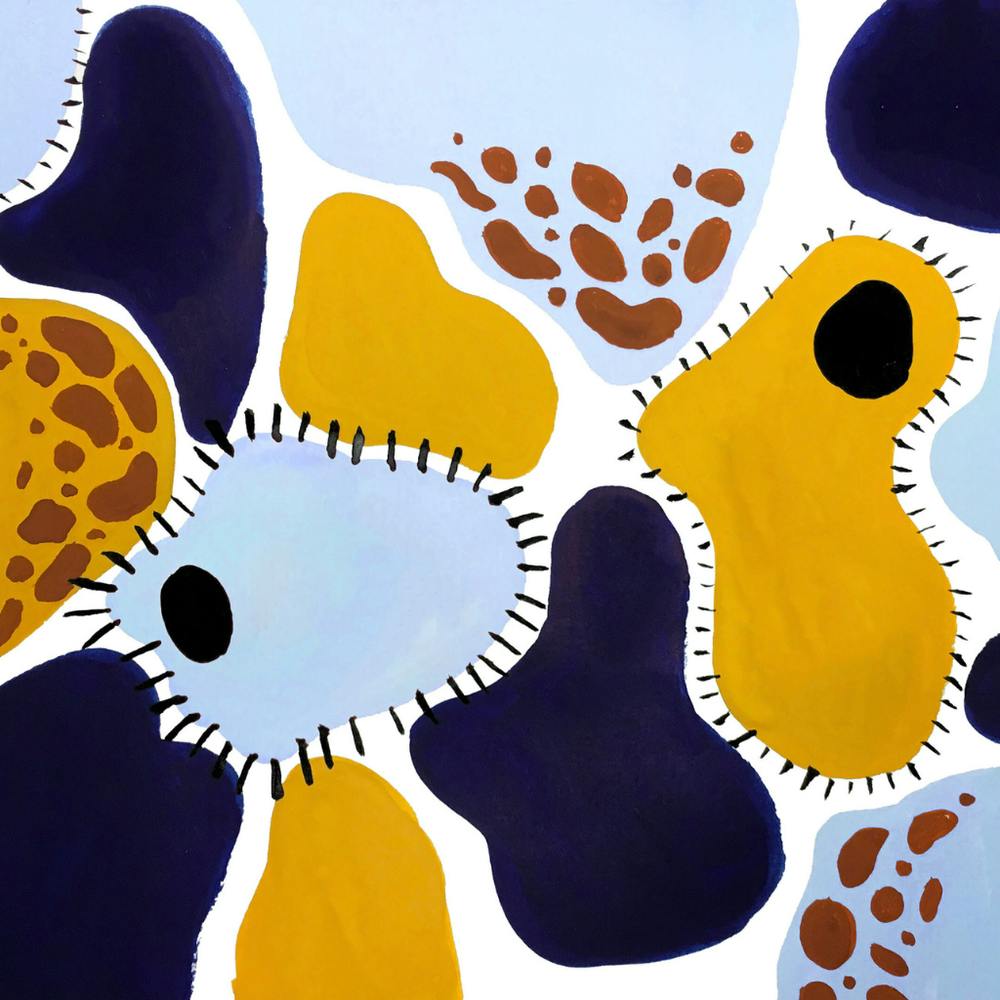 Little Lives 1 - 1x1