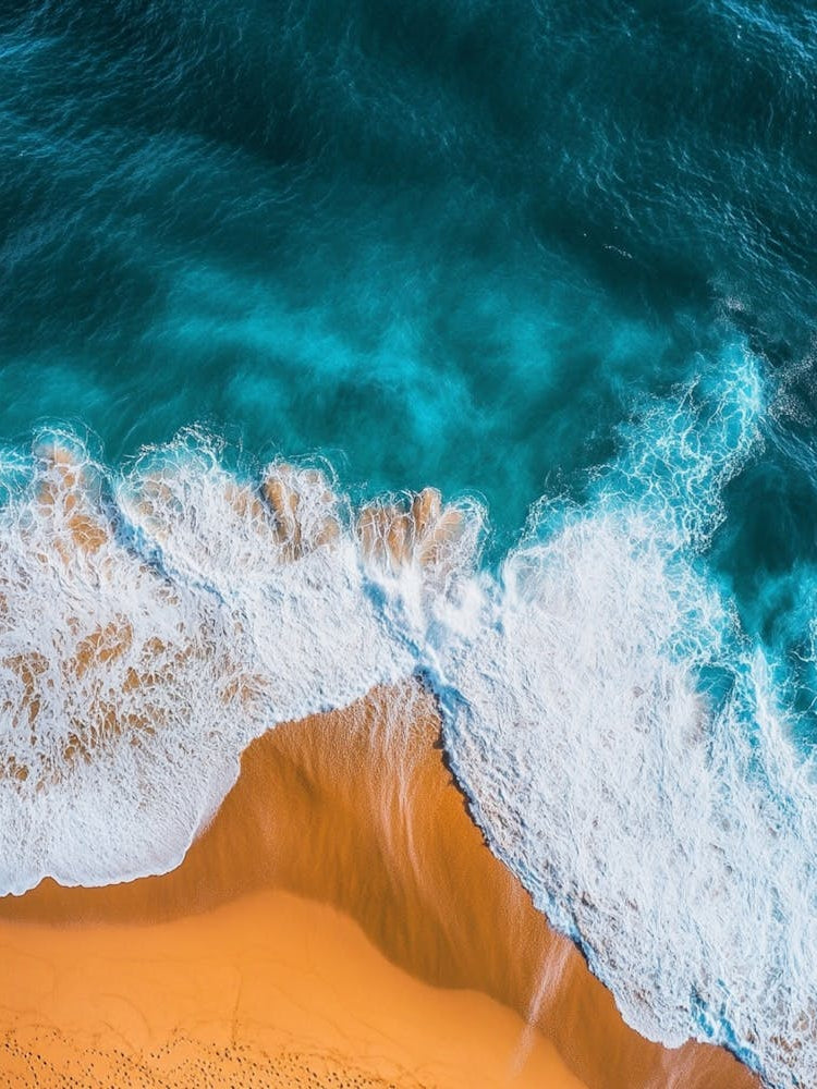 Aerial View Of The Beach 14