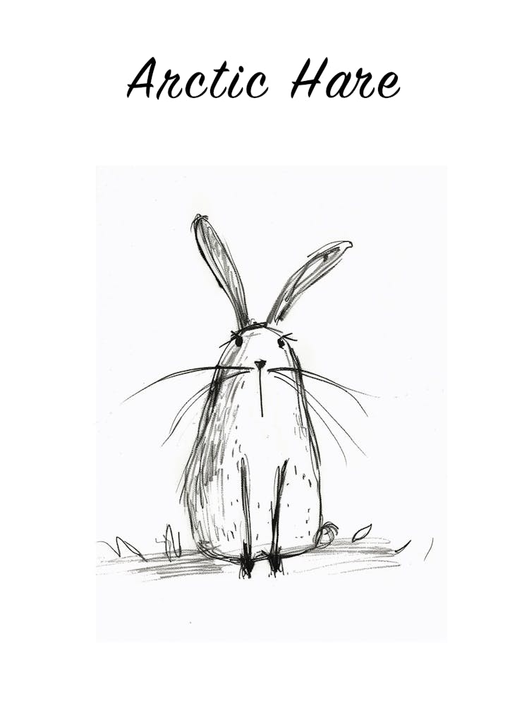 Bw Arctic Hare Poster