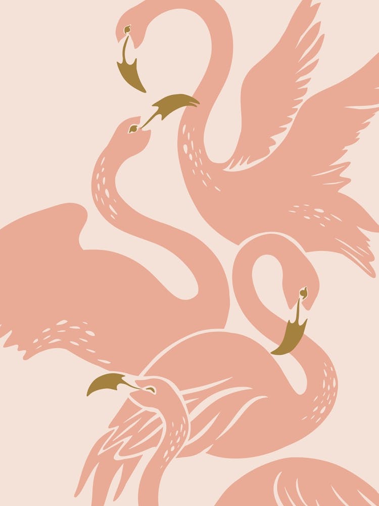 Flamingo Flourish