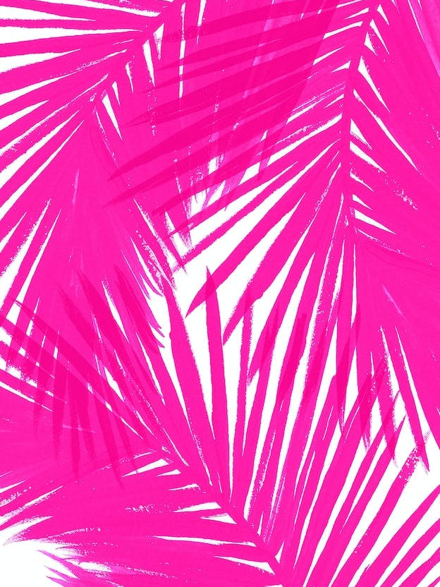 Pink Palms