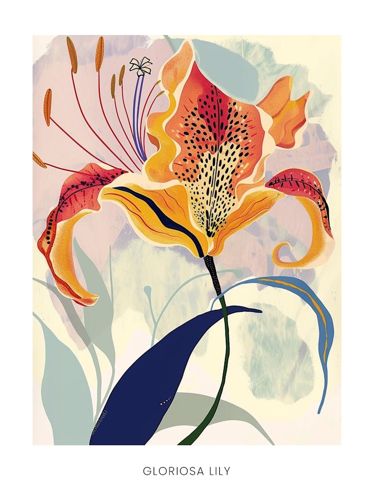 Colourful Flower Illustration Poster Gloriosa Lily 2
