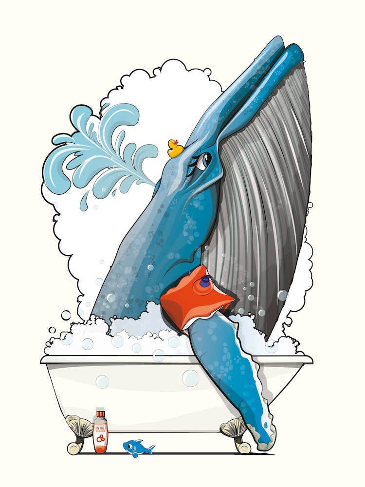 Sea Life Blue Whale