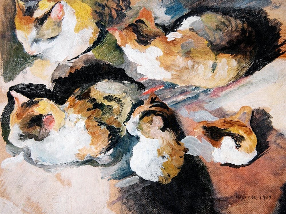 Study Of A Cat, August Macke