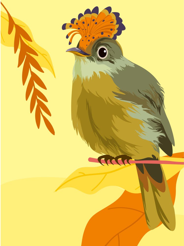 Bird On A Branch