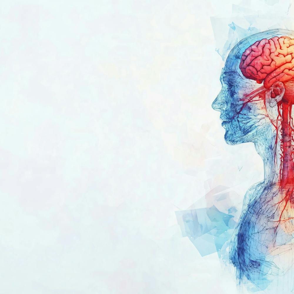 Human Head And Brain