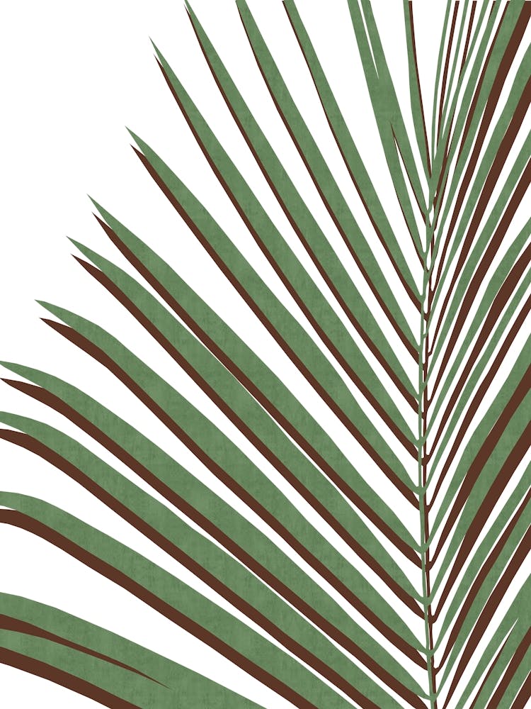Botanical floral art 6