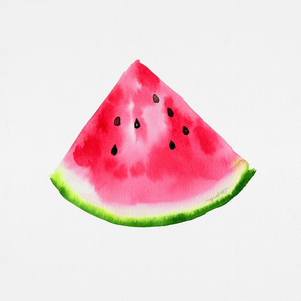 Watermelon Watercolor Artwork 1