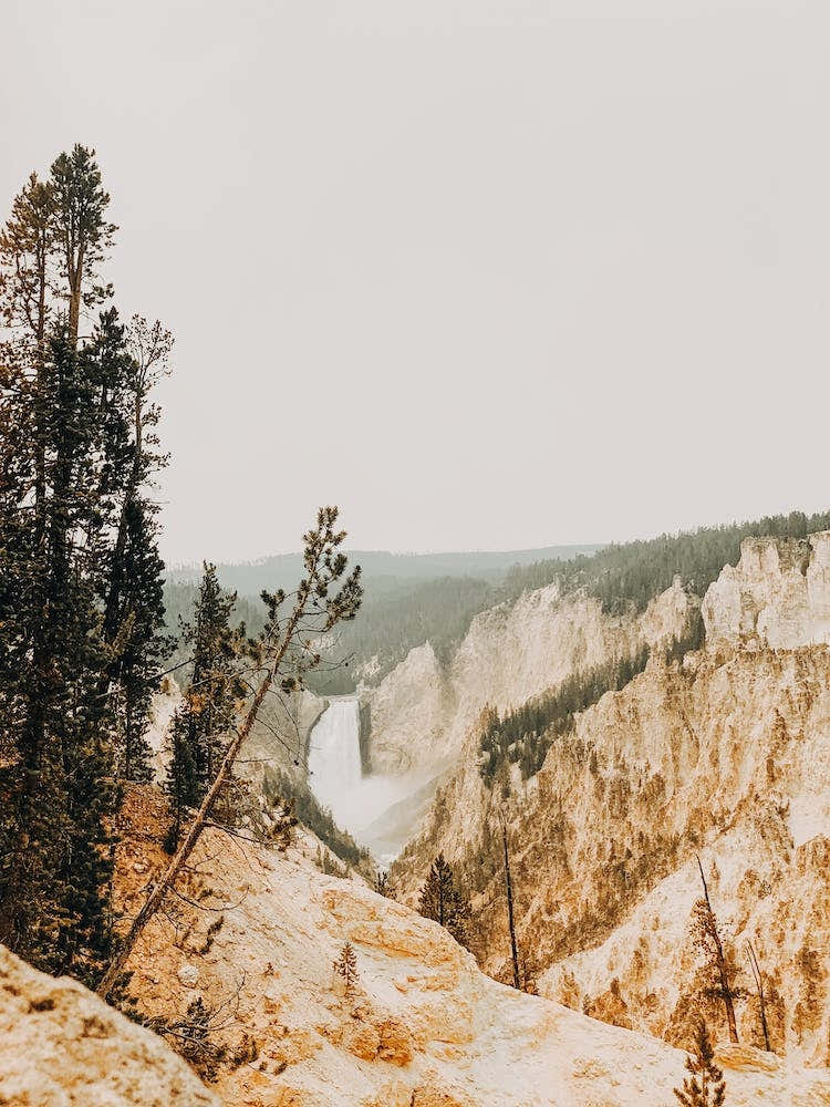 Yellowstone Landscape