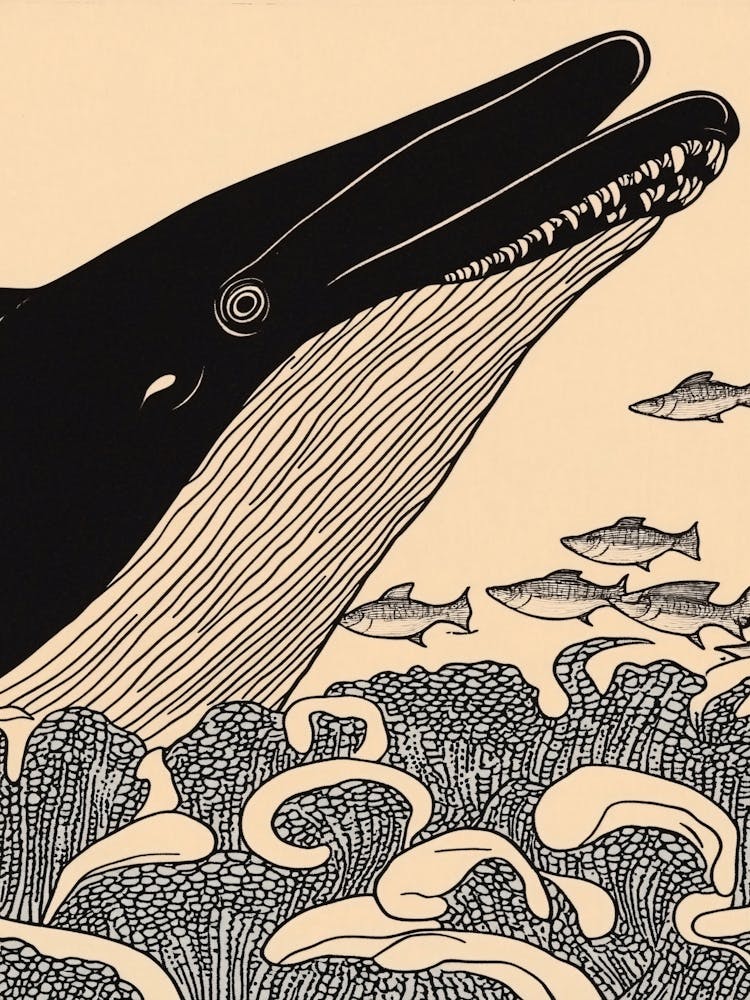 Whales In The Sea