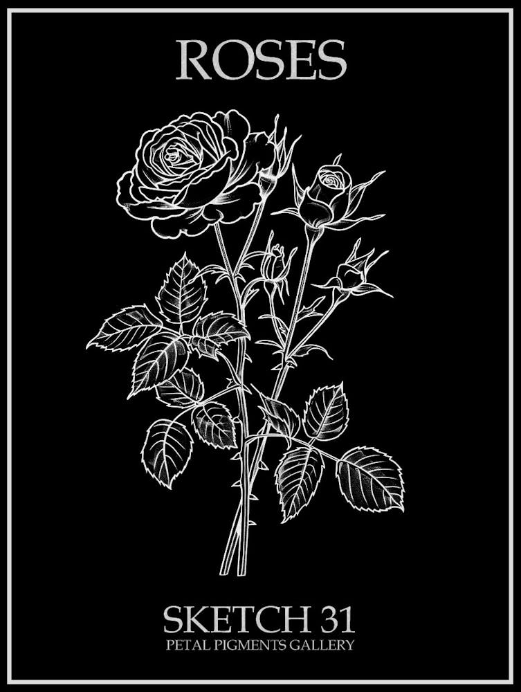 Roses Sketch 31 Poster Inverted