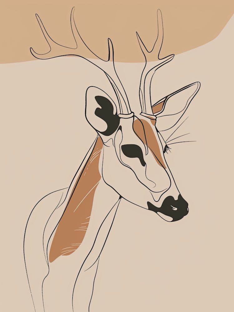 Antelope - Boho, Line Art 1