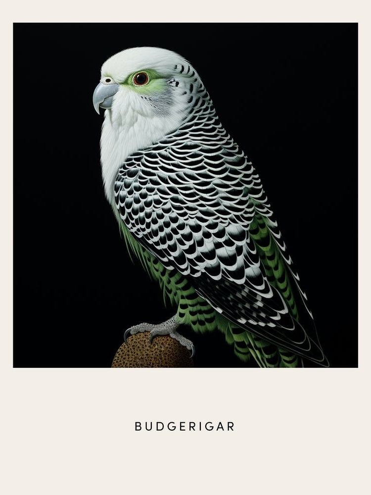 Ohara Koson Inspired Bird Painting Budgerigar 1 Poster