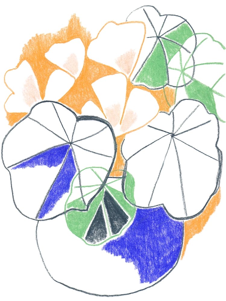 Pencil Leaves And Flowers In Vase