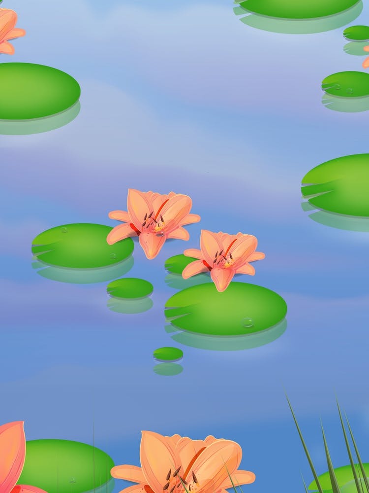 Water Lilies