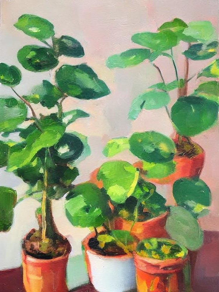 Chinese Money Plant Impressionist Painting