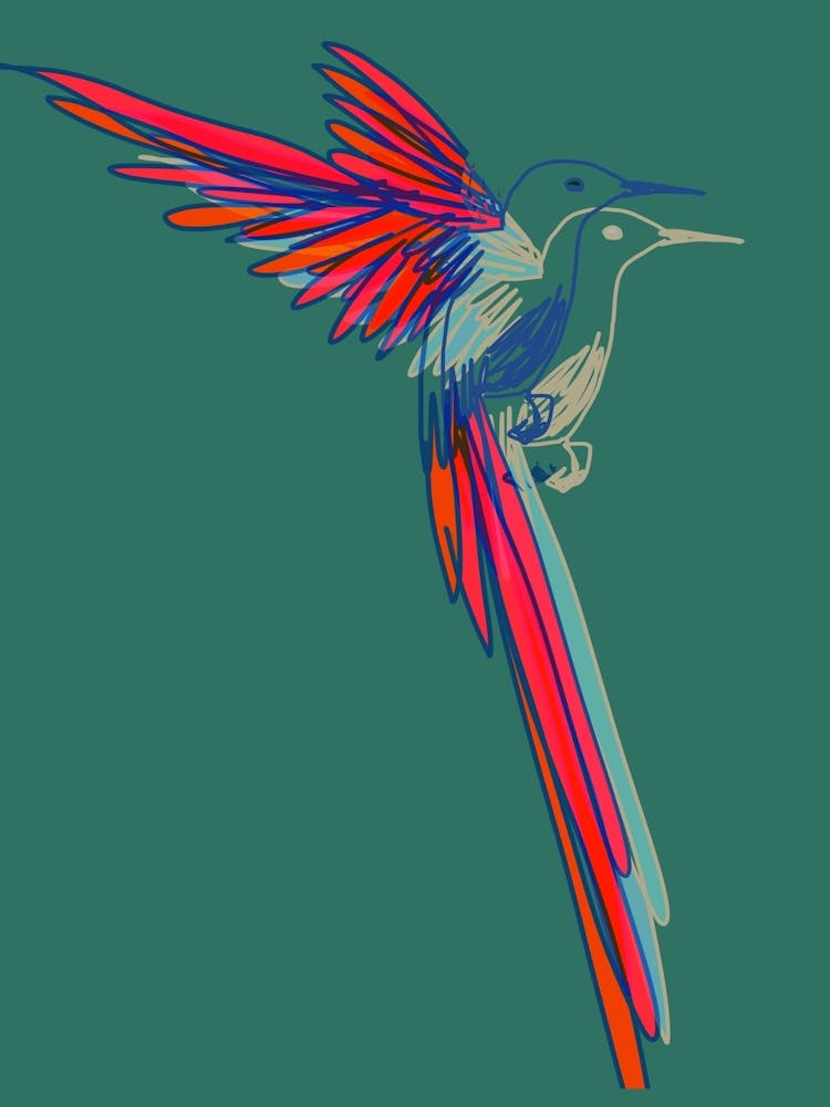 Hummingbird003