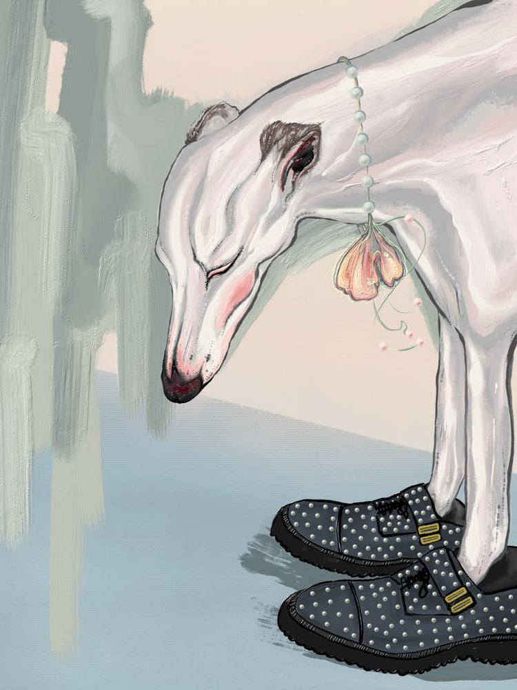 Dog In Shoes