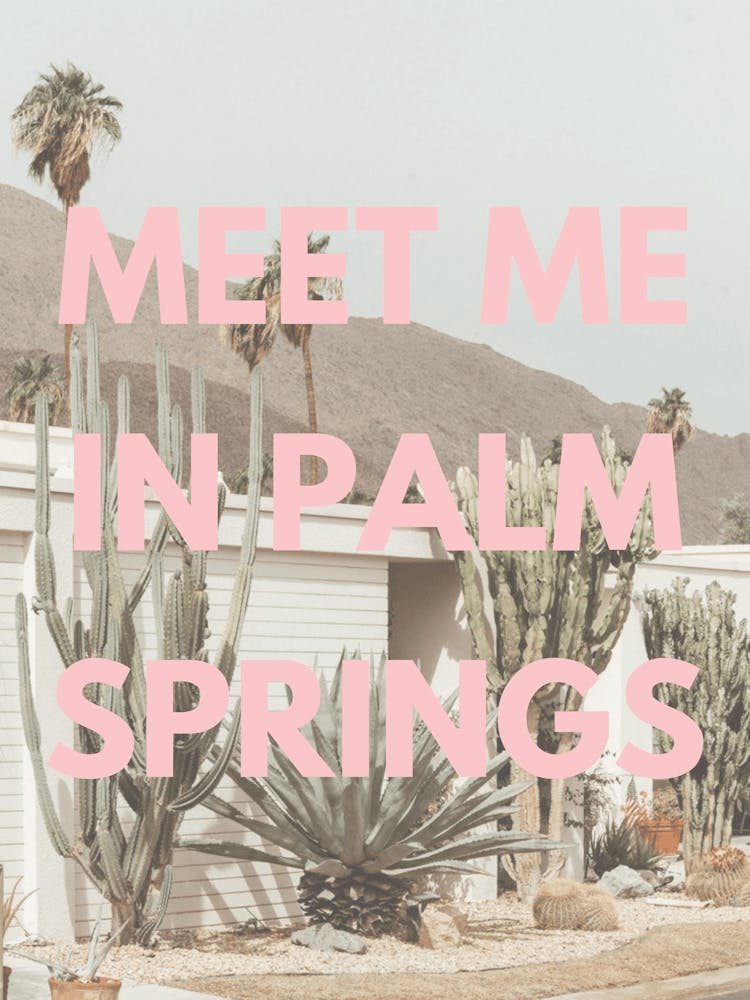 Meet Me in Palm Springs