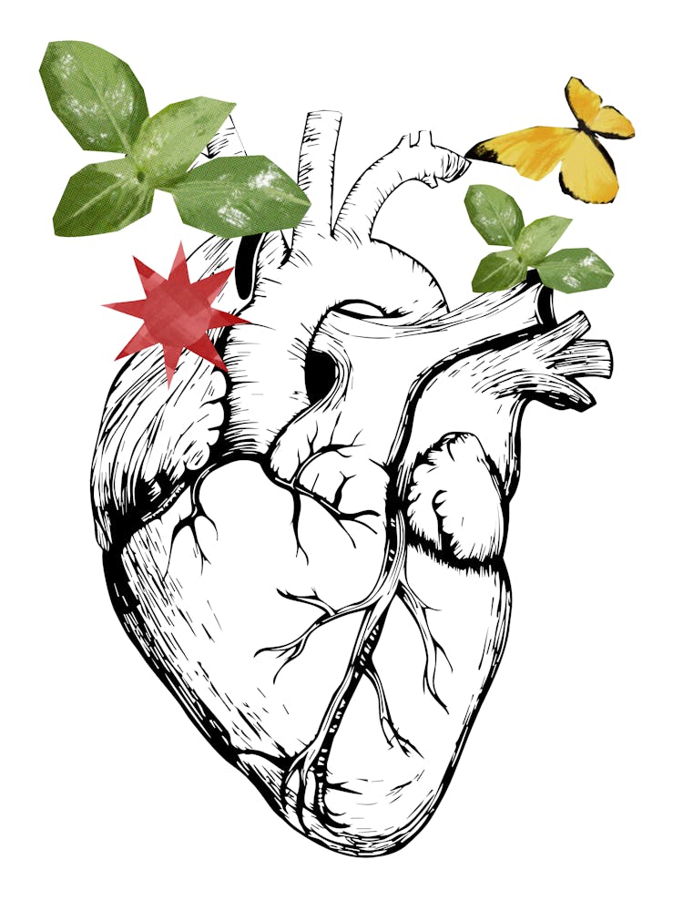 Heart With Butterflies And Leaves