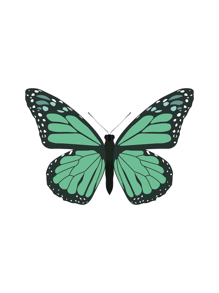 Blue Monarch Butterfly