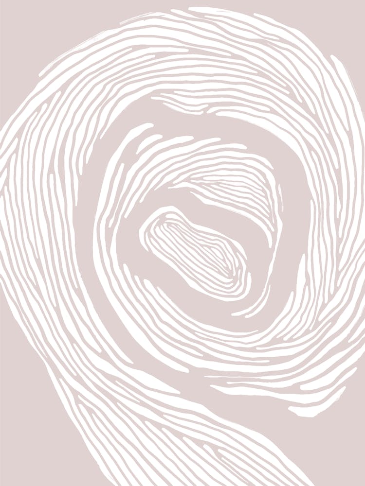 Spirals