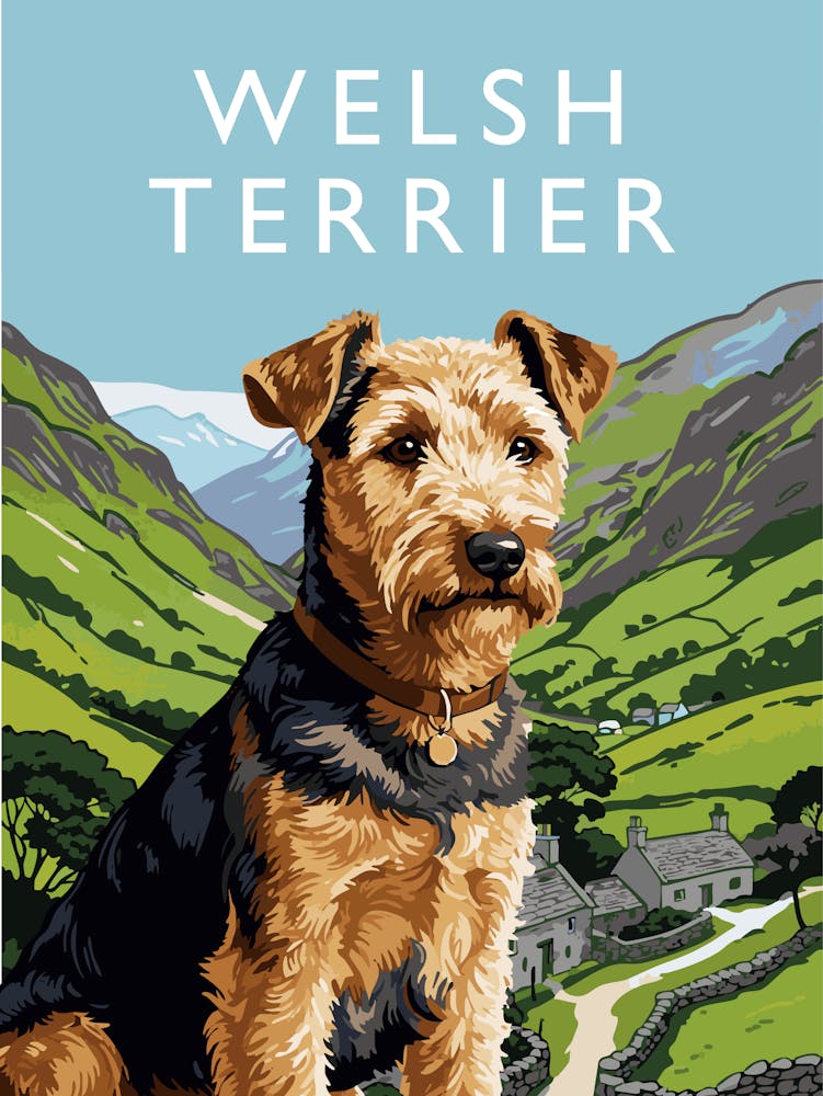 Welsh Terrier