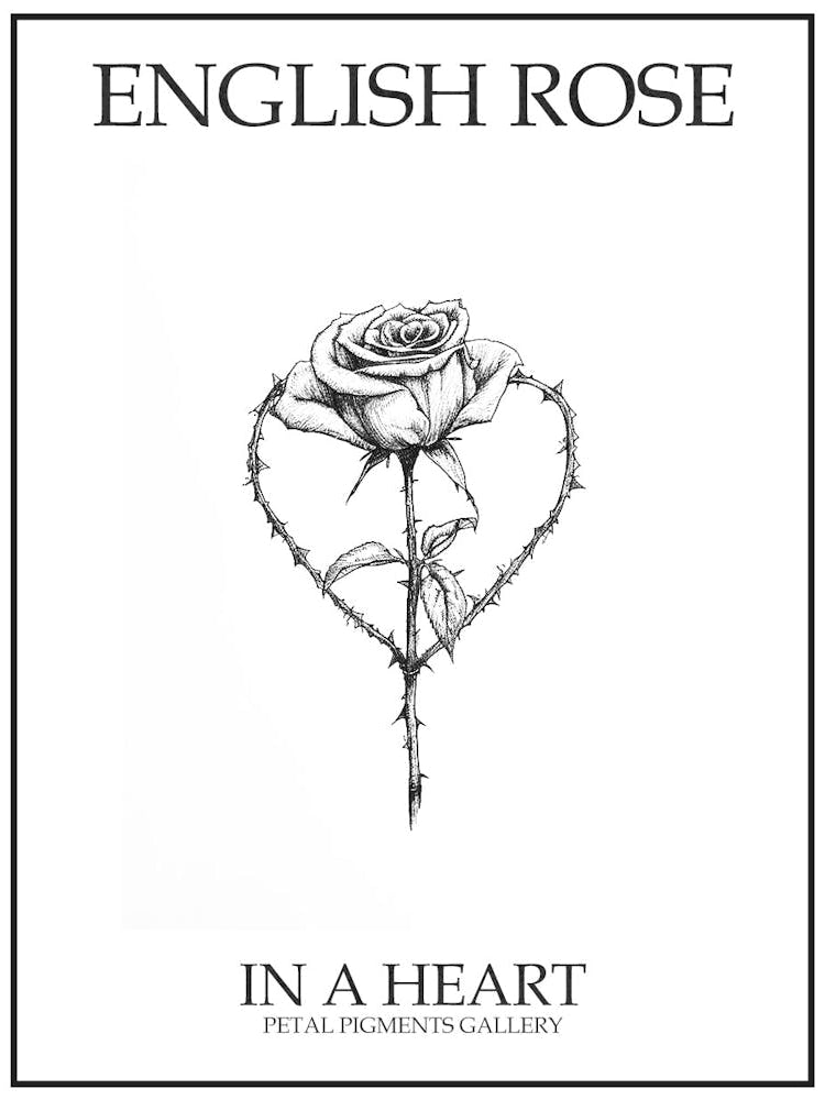 English Rose In A Heart Line Drawing 2 Poster