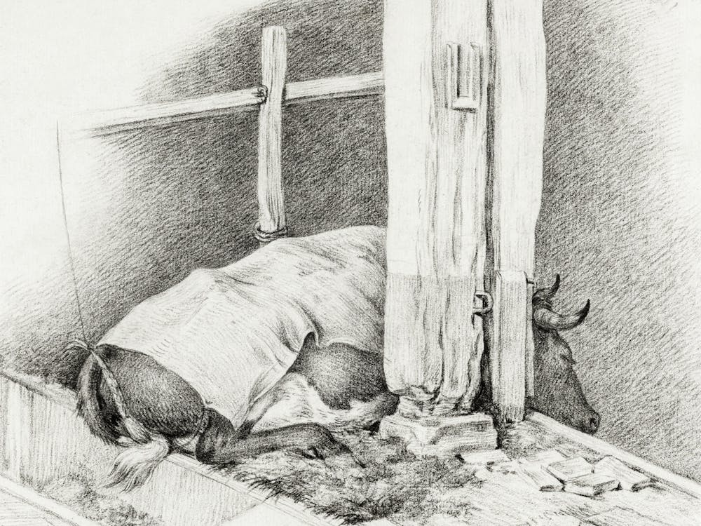 Lying Cow (1812), Jean Bernard