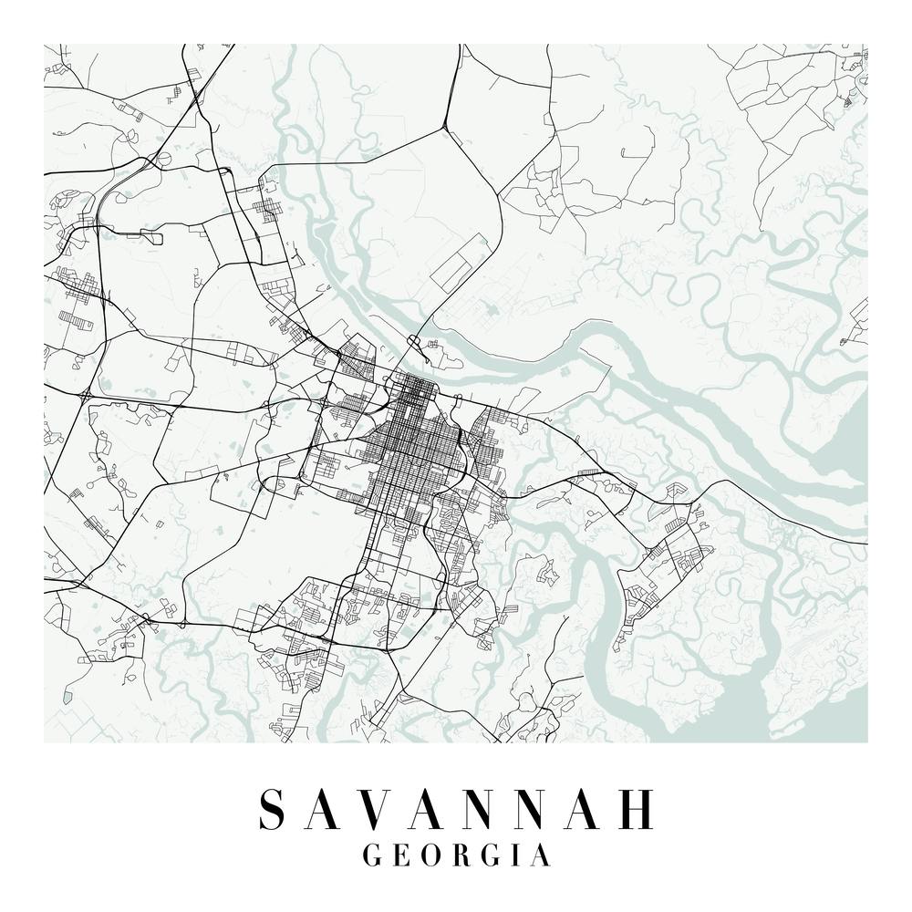 Savannah Georgia Street Map Minimal Color Square