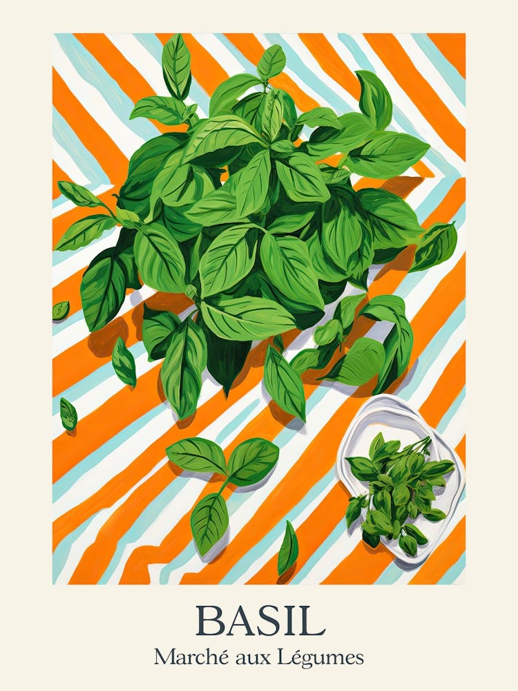 Marche Aux Legumes Basil Summer Illustration 5