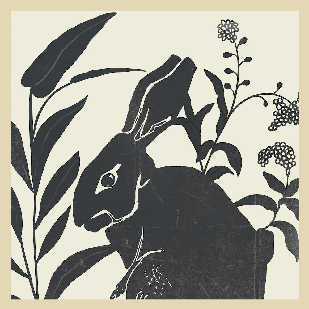 The Black Rabbit