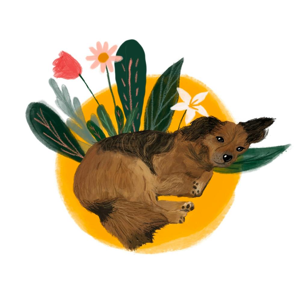 Floral Dog